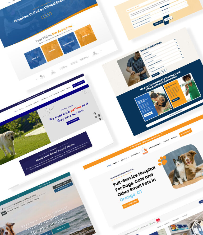 Veterinary Website Design