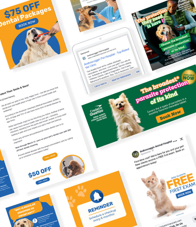Veterinary Lead Generation