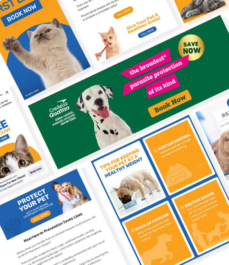 Veterinary Digital Strategy