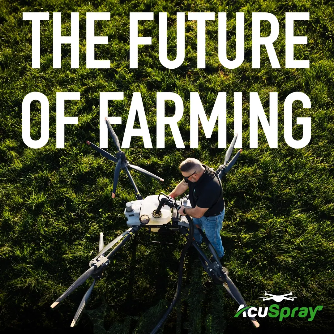 Social Media Visuals