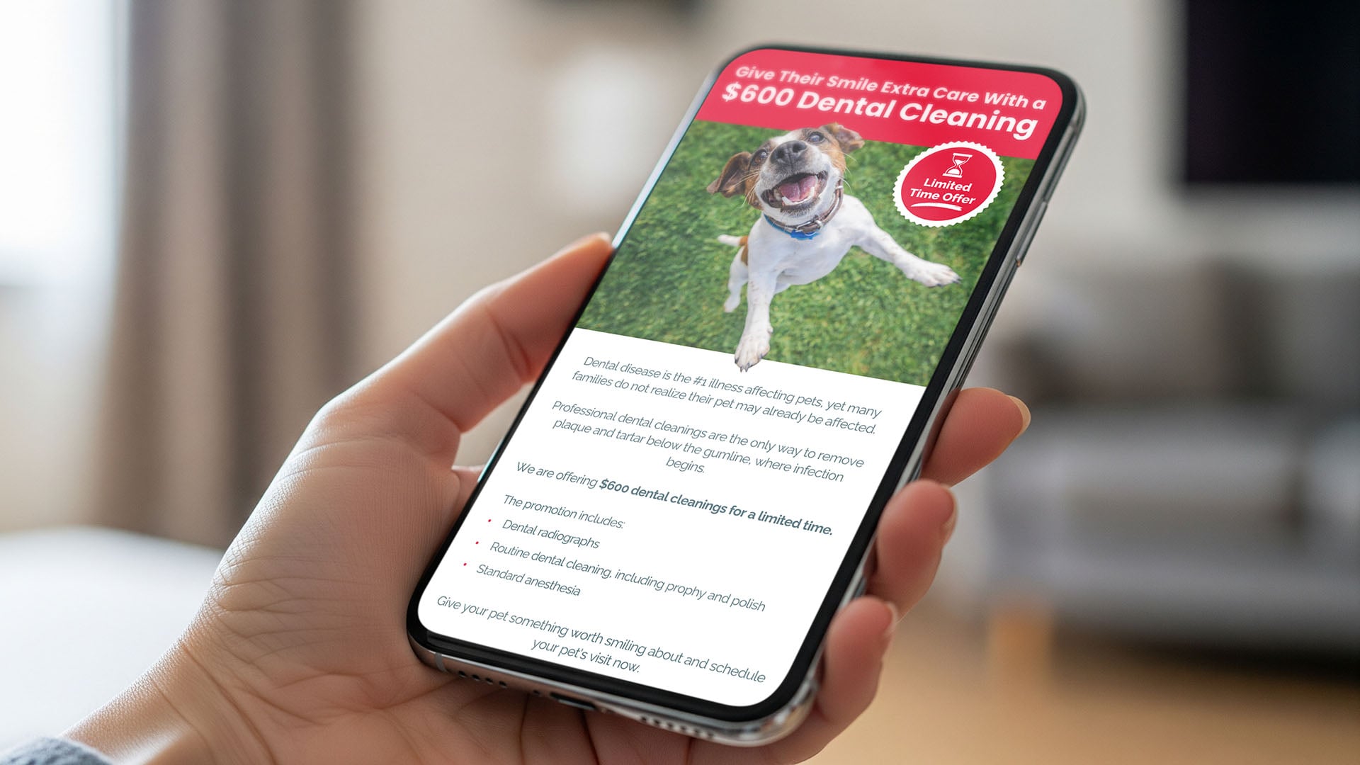 Mobile landing page for a pet dental cleaning offer